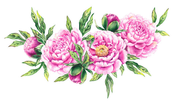 Watercolor bouquet of pink peonies