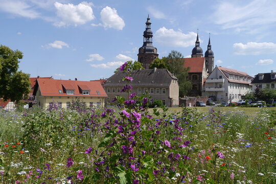 Blumen an den Stadtterrassen in der Lutherstadt Eisleben mit Blick zur Kirche Sankt Andreas