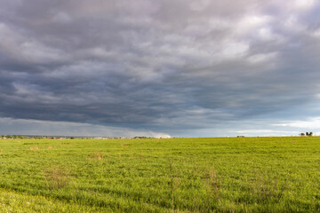 Fototapeta na wymiar Sunny landscape against a dramatic sky, countryside in early spring, young green grass in a field