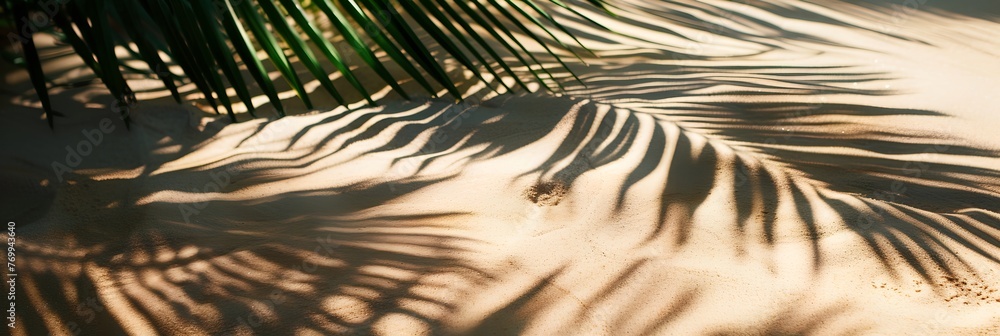 Poster palm tree is on the sand with its leaves casting a shadow. concept of relaxation and tranquility, as
