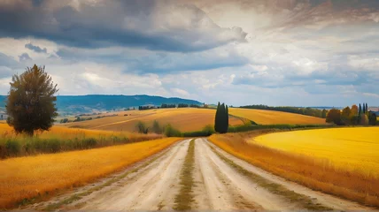 Fototapeten Autumn Italian rural landscape in retro style  Panorama of autumn field with dirt road and cloudy sky. © Hanna Ohnivenko
