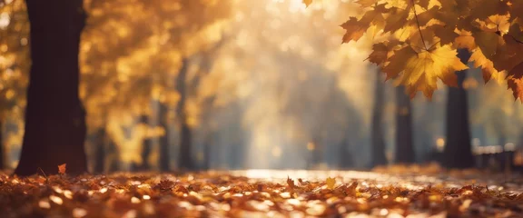 Poster Autumn forest path. maple leaves in fall city park. Nature scene in Bright light sun Sunrise © Adi