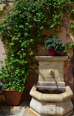 kamienna fontanna ogrodowa otoczona zielonym pnączem, stone garden fountain with green vines, wall of climbing green vines above water fountain in garden  © kateej