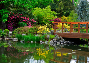 ogród japoński kwitnące różaneczniki i azalie, ogród japoński nad wodą, japanese garden blooming rhododendrons and azaleas, Rhododendron, drewniany most - obrazy, fototapety, plakaty