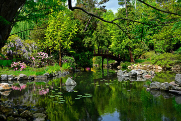 drewniany most nad wodą w ogrodzie japońskim, designer garden	