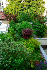 ogród na dachu, drzewa ozodbne i owocowe, zielone krzewy, roof garden, ornamental and fruit trees,...