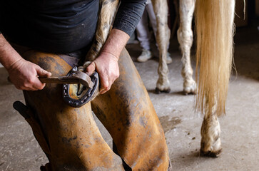 blacksmith, horseshoes a horse, a traditional job passed down from master to apprentice