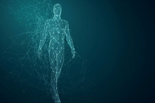 Abstract digital human body Polygonal wireframe silhouette, human body polygonal silhouette, human body polygonal background, anatomy human body background, human body polygonal background 