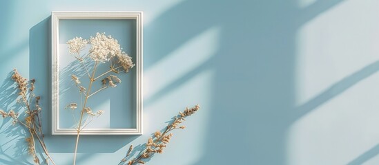An image display featuring an empty photo frame and a dried eryngium flower, set against a pastel blue background with modern shadows and natural light.