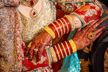Beautiful detail of Indian bridal jewelry and sari