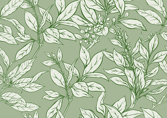 Branch with leaves of green tea. Seamless pattern, background. Vector illustration. In botanical style