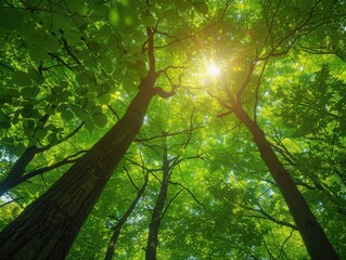 Enveloping Delight: Surrounded by Joy Amidst Graceful Trees - Joyful Pleasure in Elegant Forests - Embrace enveloping delight as you're surrounded by joy amidst graceful trees, capturing joyful