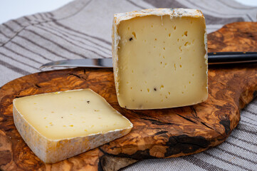 Piece of Ciambella Trufilo cheese made with summer truffel from Piedmontese cow milk in Langa area, Italy