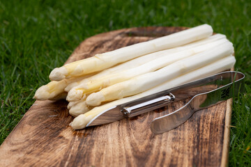 Spring season, new harvest of Dutch, German white asparagus, bunch of raw washed and pilled white asparagus and green grass