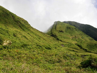 col de l'echelle, mountain pass between soufriere and echelle volcanoes in guadeloupe