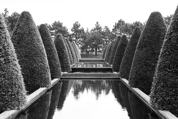 Scenic Keukenhof gardens with tall shaped trees next to fountain tanks in Netherlands.