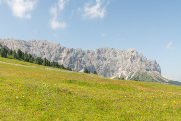 Fototapeta na wymiar Beautiful summer view on the Italian dolomites mountains. Alpine meadow in the foreground, rocky Italian mountains in the background. Sunny summer day. Villnöß, Villnöss Valley, South Tyrol.
