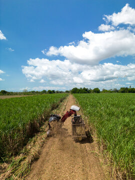 Mechanical harvesting of sugar cane, sugar cane plantation, aerial capture, Chiriqui, Panama - stock photo