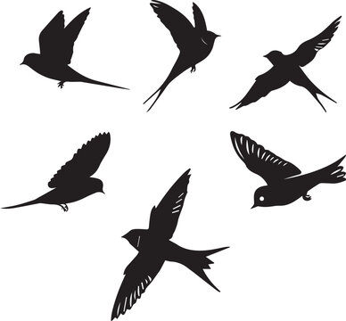 Swallow Birds Flying Silhouettes 