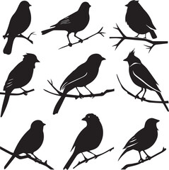 Set of Birds Black Silhouette on white background
