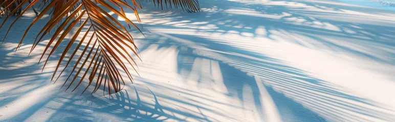Fototapeten Top view of tropical leaf shadows on top. The shadows of palm leaves on the white sand. Beautiful abstract background concept banner summer vacation at the beach. © SHI