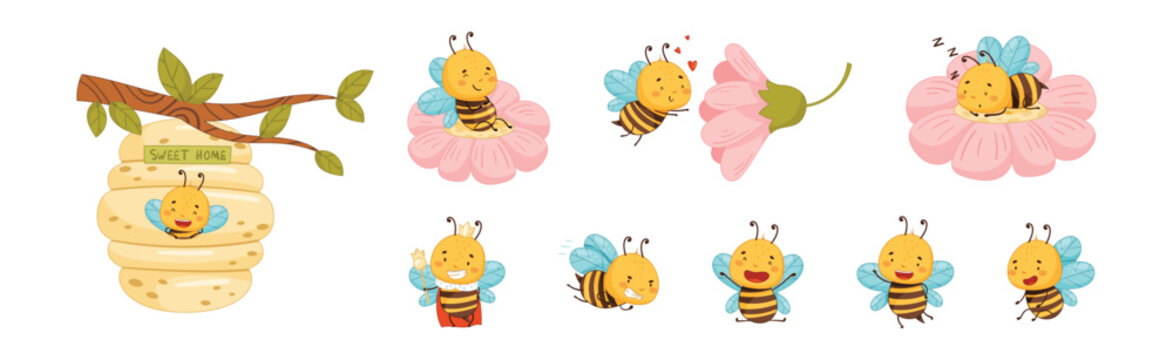 Cute Honey Bee Character with Pretty Face and Striped Body Vector Set