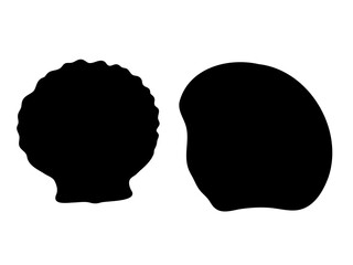 A set of vector seashell silhouette illustrations. Hand drawn maritime seashell sketch. Undersea seashells outline drawing. Design elements for icon, logo, seafood shop, menu.