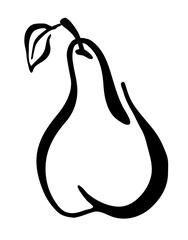 Pear drawing hand painted with ink brush. Png clipart isolated on transparent background