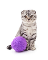 Cat with ball of yarn. - 769986652