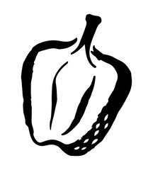 Bell Pepper drawing hand painted with ink brush. Png clipart isolated on transparent background