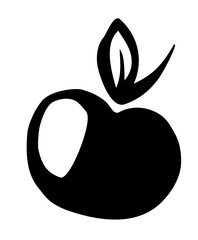 Apple drawing hand painted with ink brush isolated on white background. Vector illustration