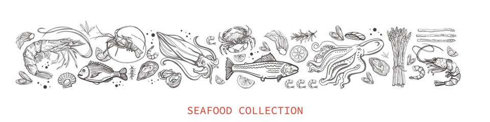 Big isolated vector collection of seafood. Shrimps, langoustines, prawns, salmon, trout, oysters, mussels, squid, crab, lemon, asparagus, dorado. Hand-drawn seafood, restaurant and marine cafe menu.