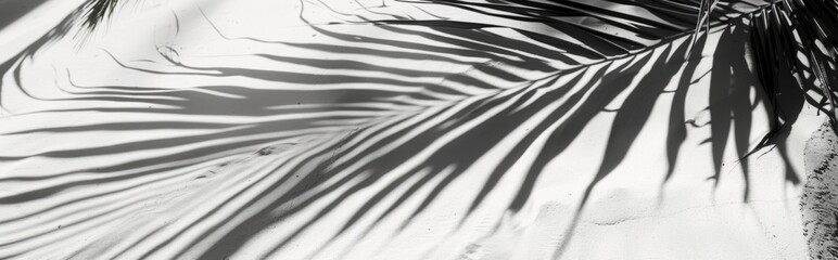 Beautiful abstract background concept banner summer vacation at the beach. Top view of tropical leaf shadows. The shadows of palm leaves on the white sand.