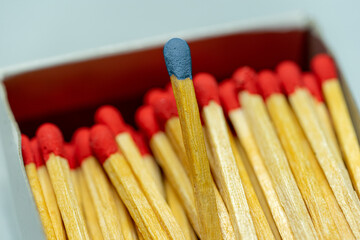 Set of several defocused red-headed matchsticks with one blue-headed matchstick in evidence.