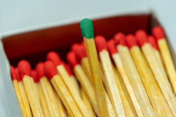 Set of several defocused red-headed matchsticks with one greeen-headed matchstick in evidence.
