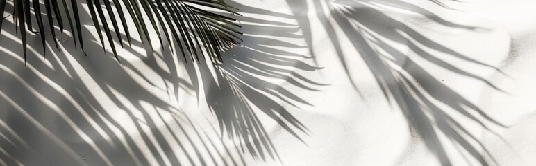 Obraz premium Beautiful abstract background concept banner summer vacation at the beach. Top view of tropical leaf shadows. The shadows of palm leaves on the white sand.