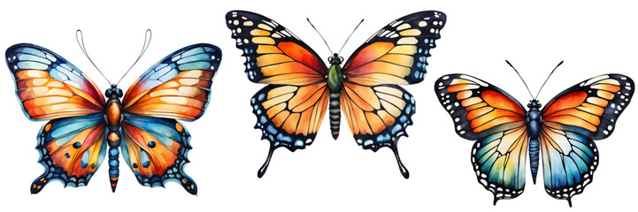 Set of butterfly collection colored. Set of beautiful butterflies watercolor isolated on white background. Orange, pink, green and blue, butterfly vector illustration	