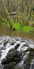 Ruta del agua y la piedra en las Rías Bajas, Galicia