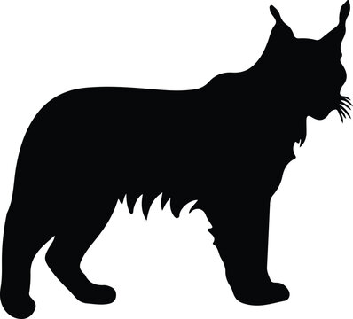 bobcat silhouette