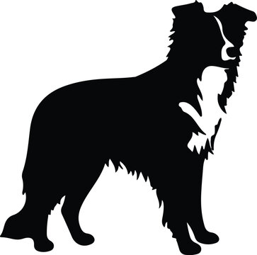 recommend clip art: border collie silhouette