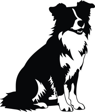 recommend clip art: border collie silhouette