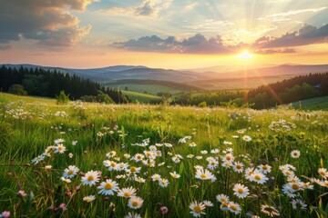 Sun Setting Over Mountains With Daisies