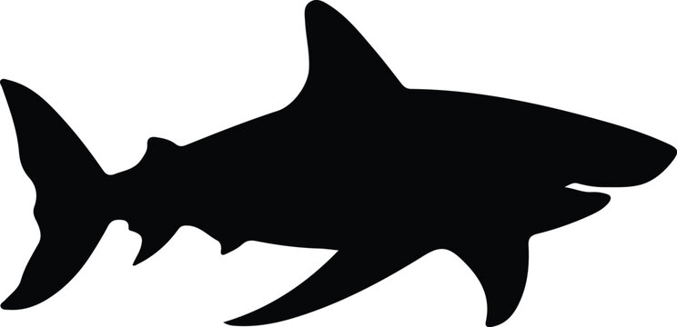 bull shark silhouette