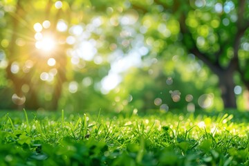 Obraz premium Sunlight Dance: A Parks Symphony