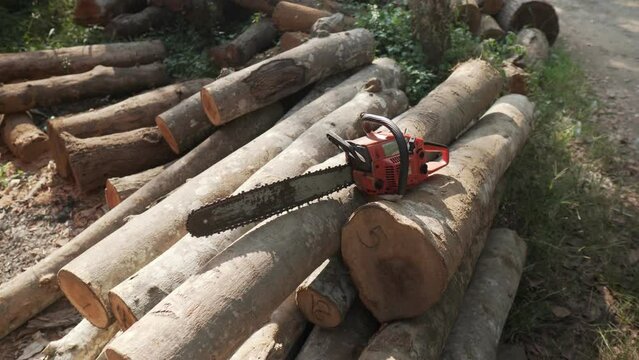 Chainsaw on Lumber in a Timber Mill cut down logs  
