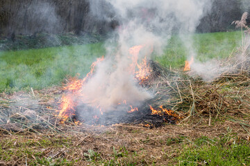 Small fire spreads in a field of dry grass. Nature on fire, front view. Daily shot. Forest fire flames, smoke clouds, grass fire in field.