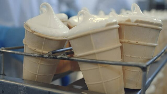 Ice cream in waffle cups are produced at industrial milk plant. Worker is collecting the ice cream after the production process. Worker places ice cream in basket. Milk production factory. Dessert