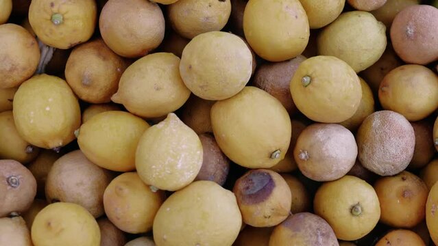 Unhealthy lemon pile signals food safety risk. Unhealthy, lemon, highlights health, freshness need. Unhealthy lemon visual, underscores fresh food value