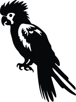 recommend clip art: cockatoo silhouette