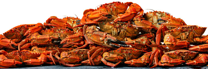 velvet crab  necora cooked , sellfish seafood background